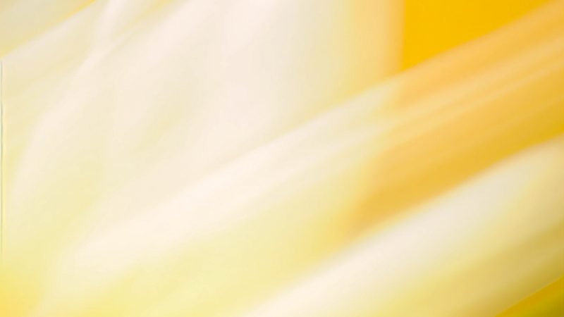 The EU Code of Practice and future of AI in Europe