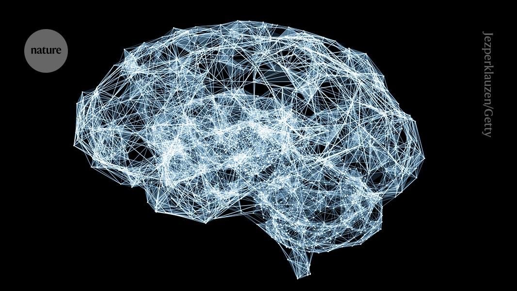 This AI ‘thinks’ like a human — after training on 160 psychology studies